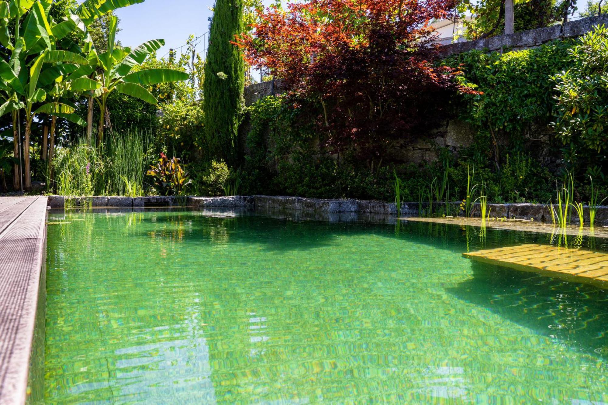 Gondomar Guimaraes - Moradia V3 Com Piscina Natural By House And People 외부 사진