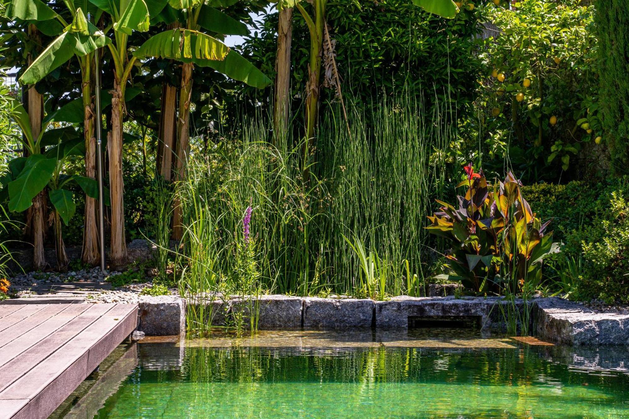 Gondomar Guimaraes - Moradia V3 Com Piscina Natural By House And People 외부 사진